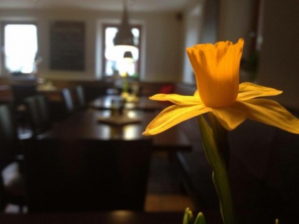 Foto: Zur Post